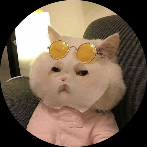 hipincognito